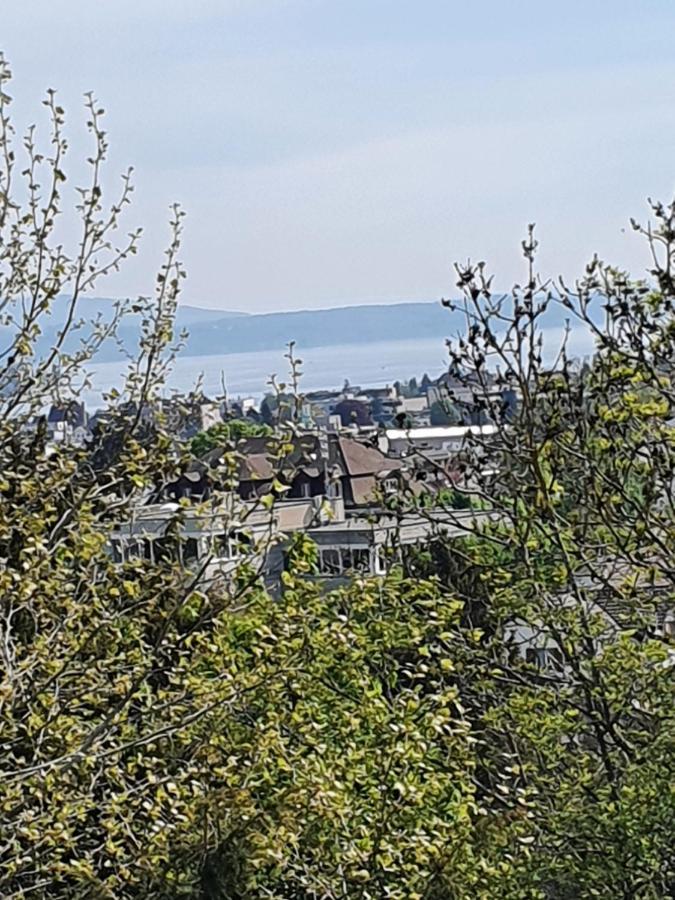 Ferienwohnung Mit Ausblick 크로이츠링엔 외부 사진